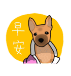 So cute dog (Mix)（個別スタンプ：16）