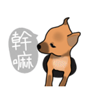 So cute dog (Mix)（個別スタンプ：20）