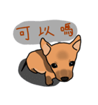 So cute dog (Mix)（個別スタンプ：21）