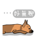 So cute dog (Mix)（個別スタンプ：23）