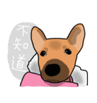 So cute dog (Mix)（個別スタンプ：27）