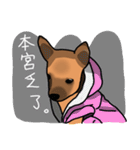 So cute dog (Mix)（個別スタンプ：30）