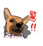 So cute dog (Mix)（個別スタンプ：31）