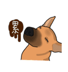 So cute dog (Mix)（個別スタンプ：36）