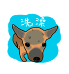 So cute dog (Mix)（個別スタンプ：37）