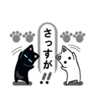 猫と肉球3（個別スタンプ：19）