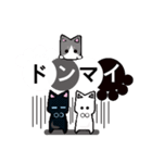 猫と肉球3（個別スタンプ：31）