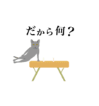 動きすぎる猫のアニメスタンプ（個別スタンプ：17）