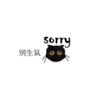 cat cat cat cat ~（個別スタンプ：34）