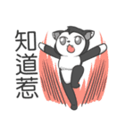 DumpCat Run Run Run（個別スタンプ：13）