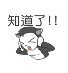 DumpCat Run Run Run（個別スタンプ：15）