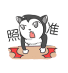 DumpCat Run Run Run（個別スタンプ：19）
