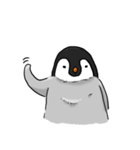 Fluffy Baby Penguins（個別スタンプ：1）