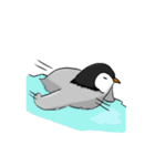 Fluffy Baby Penguins（個別スタンプ：24）