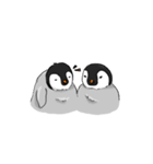 Fluffy Baby Penguins（個別スタンプ：27）