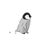 Fluffy Baby Penguins（個別スタンプ：30）