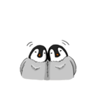 Fluffy Baby Penguins（個別スタンプ：34）