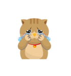 BeBeQ (ライスちゃんと一緒に遊びます)（個別スタンプ：35）