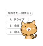 ゆる猫 ディー君 ver.1（個別スタンプ：16）