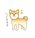 柴犬わんわん わわわん（個別スタンプ：6）