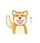 柴犬わんわん わわわん（個別スタンプ：11）