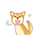 柴犬わんわん わわわん（個別スタンプ：22）