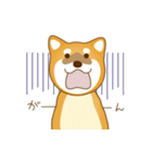 柴犬わんわん わわわん（個別スタンプ：24）