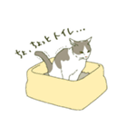 うちのねこさま（個別スタンプ：17）