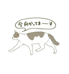 うちのねこさま（個別スタンプ：25）