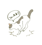 うちのねこさま（個別スタンプ：27）