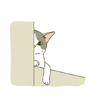 うちのねこさま（個別スタンプ：40）