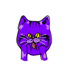 Cat Purple Cat（個別スタンプ：4）