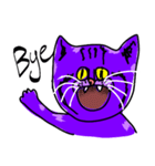 Cat Purple Cat（個別スタンプ：10）