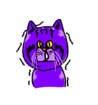 Cat Purple Cat（個別スタンプ：36）