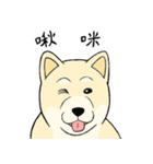 The fool shiba（個別スタンプ：1）