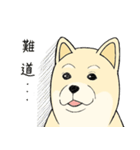 The fool shiba（個別スタンプ：7）