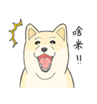 The fool shiba（個別スタンプ：8）