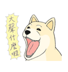 The fool shiba（個別スタンプ：9）