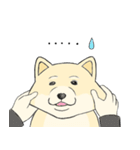 The fool shiba（個別スタンプ：11）