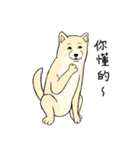 The fool shiba（個別スタンプ：25）