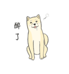 The fool shiba（個別スタンプ：27）