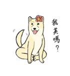 The fool shiba（個別スタンプ：28）