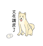 The fool shiba（個別スタンプ：29）