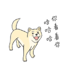 The fool shiba（個別スタンプ：32）