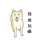 The fool shiba（個別スタンプ：34）