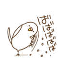 インコいんこ（個別スタンプ：2）