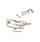 インコいんこ（個別スタンプ：5）