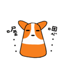 Life of Corgi Miluku（個別スタンプ：5）