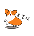 Life of Corgi Miluku（個別スタンプ：14）