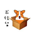 Life of Corgi Miluku（個別スタンプ：23）